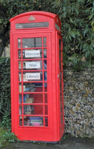 mini library