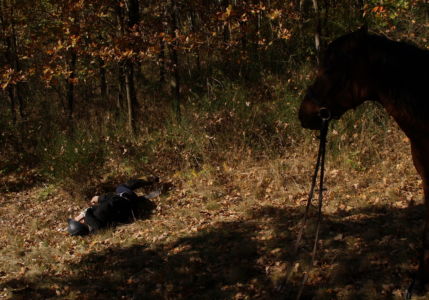 někomu se však stal právě tento skok osudným (nic vážného, naštěstí!)